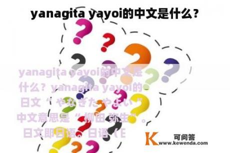 yanagita yayoi的中文是什么？