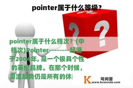 pointer属于什么等级？