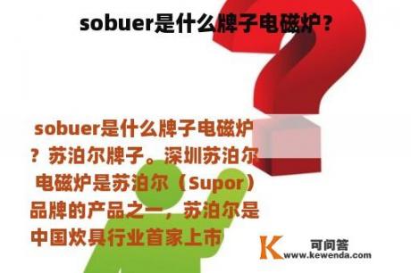sobuer是什么牌子电磁炉？