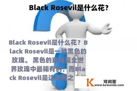 Black Rosevil是什么花？