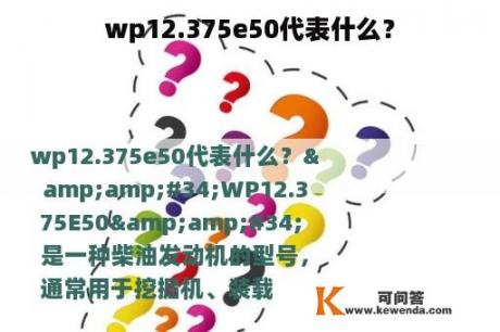 wp12.375e50代表什么？