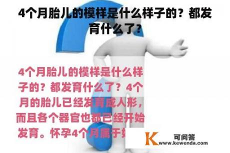 4个月胎儿的模样是什么样子的？都发育什么了？