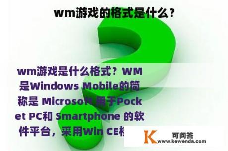 wm游戏的格式是什么？