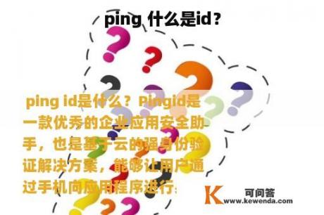 ping 什么是id？