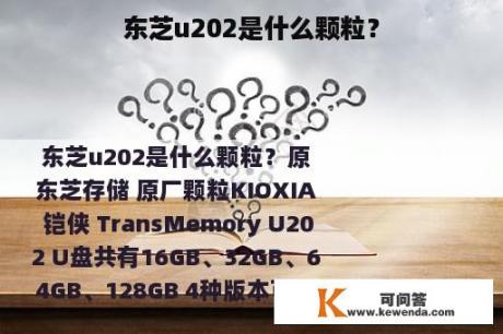 东芝u202是什么颗粒？