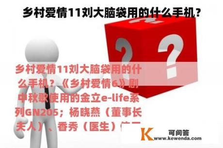 乡村爱情11刘大脑袋用的什么手机？