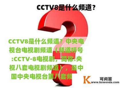 CCTV8是什么频道？