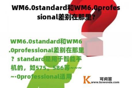 WM6.0standard和WM6.0professional差别在那里？