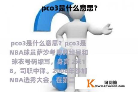 pco3是什么意思？