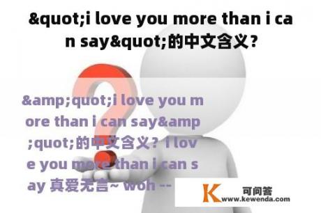 "i love you more than i can say"的中文含义？