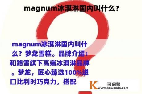 magnum冰淇淋国内叫什么？