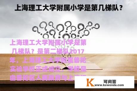 上海理工大学附属小学是第几梯队？