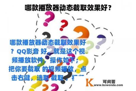 哪款播放器动态截取效果好？