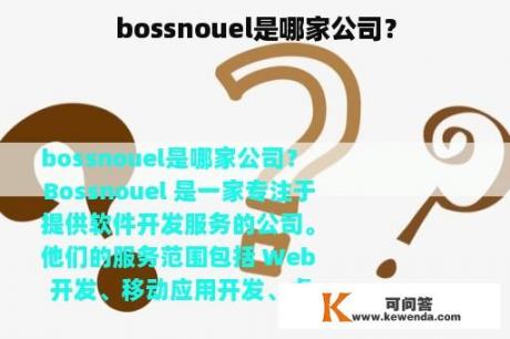 bossnouel是哪家公司？