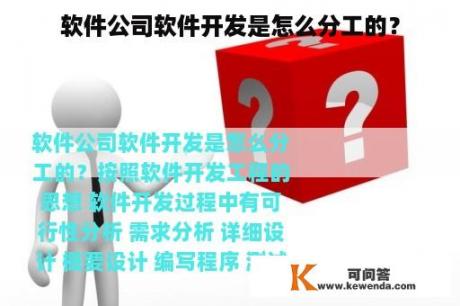 软件公司软件开发是怎么分工的？