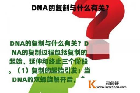 DNA的复制与什么有关？
