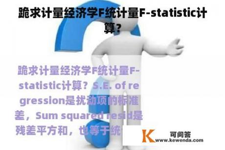 跪求计量经济学F统计量F-statistic计算？