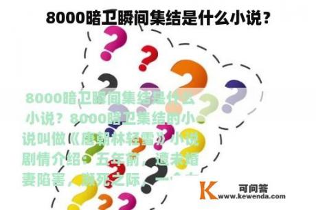 8000暗卫瞬间集结是什么小说？