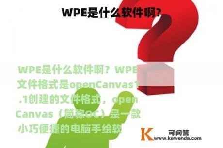 WPE是什么软件啊？