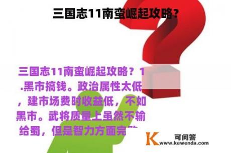 三国志11南蛮崛起攻略？