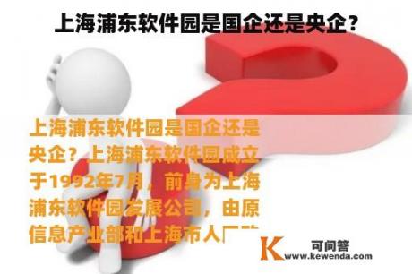 上海浦东软件园是国企还是央企？