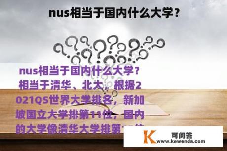 nus相当于国内什么大学？