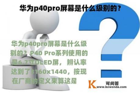 华为p40pro屏幕是什么级别的？