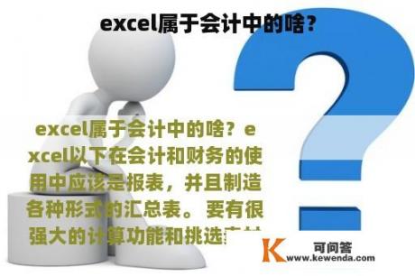 excel属于会计中的啥？