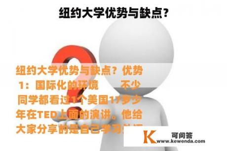 纽约大学优势与缺点？