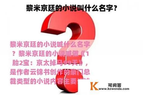 黎米京廷的小说叫什么名字？