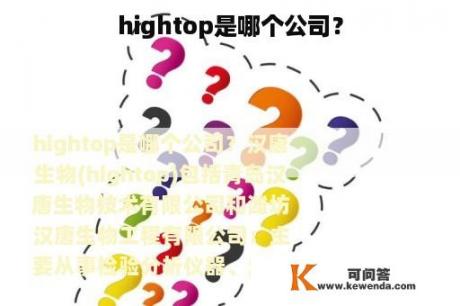 hightop是哪个公司？