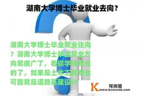 湖南大学博士毕业就业去向？