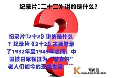 纪录片巜二十二》讲的是什么？