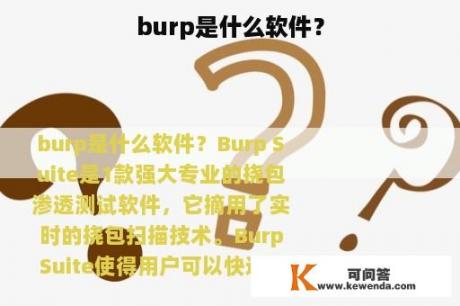 burp是什么软件？