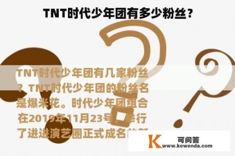 TNT时代少年团有多少粉丝？