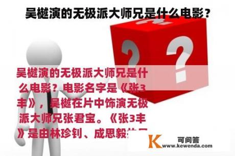 吴樾演的无极派大师兄是什么电影？