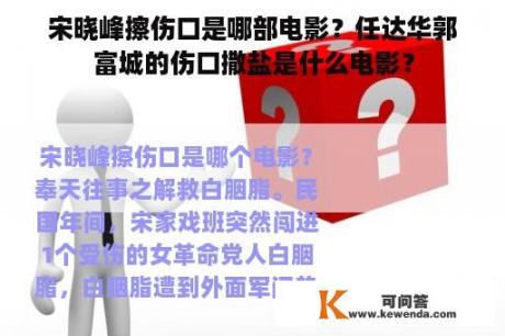 宋晓峰擦伤口是哪部电影？任达华郭富城的伤口撒盐是什么电影？