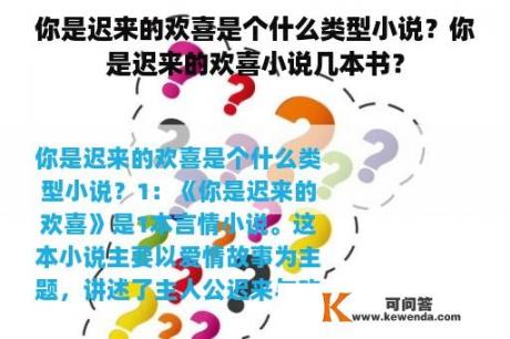 你是迟来的欢喜是个什么类型小说？你是迟来的欢喜小说几本书？