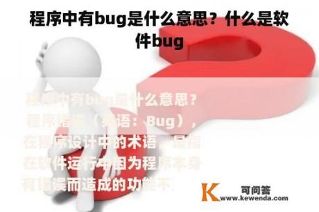 程序中有bug是什么意思？什么是软件bug