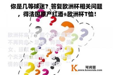 你是几等球迷？答复欧洲杯相关问题，得法国原产红酒+欧洲杯T恤！