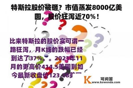 特斯拉股价被砸？市值蒸发8000亿美圆，股价狂泻近70%！