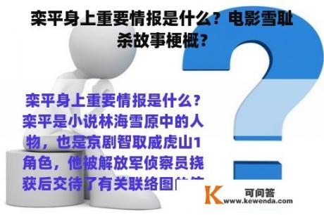 栾平身上重要情报是什么？电影雪耻杀故事梗概？