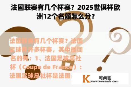 法国联赛有几个杯赛？2025世俱杯欧洲12个名额怎么分？