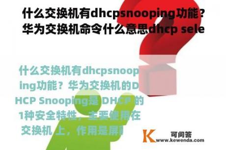 什么交换机有dhcpsnooping功能？华为交换机命令什么意思dhcp select interface？