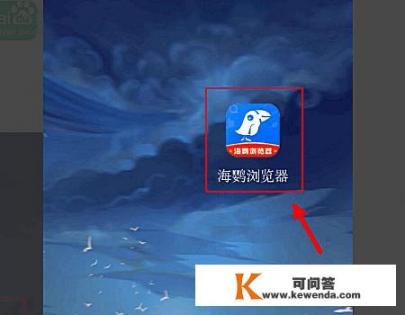 海鹦浏览器怎么用？哪些免费翻墙软件