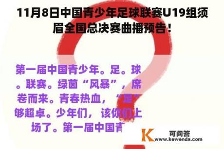 11月8日中国青少年足球联赛U19组须眉全国总决赛曲播预告！