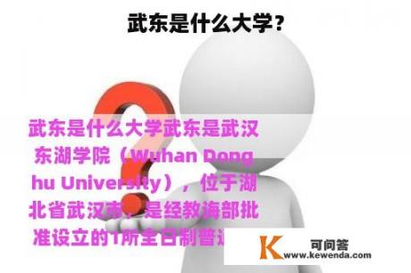 武东是什么大学？