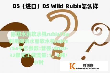 DS（进口）DS Wild Rubis怎么样