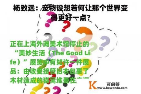 杨致远：宠物设想若何让那个世界变得更好一点？