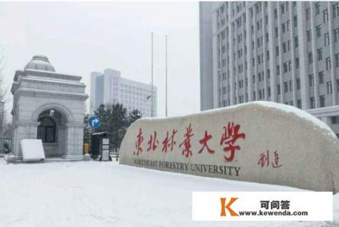 东北林业大学有哪几个学院